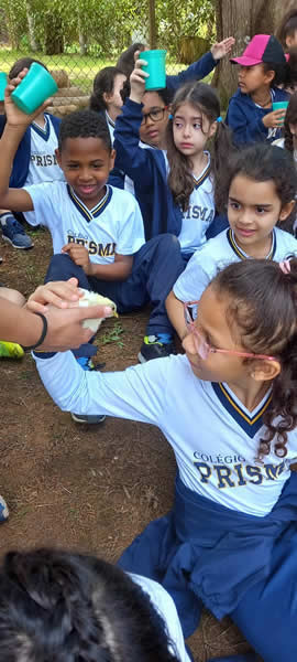 Bicho Mania 2022